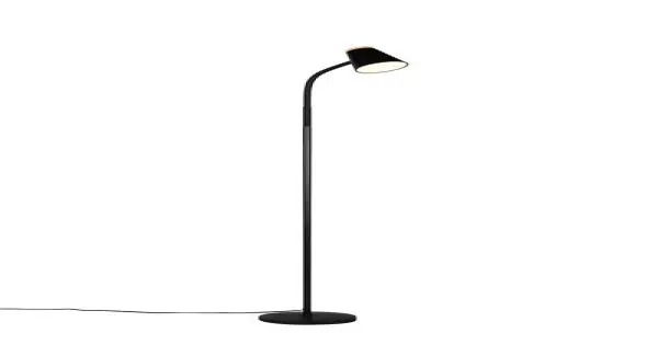 Trio Pongo fekete LED állólámpa (TRI-R45831102) LED 1 izzós IP20 Ajánlat