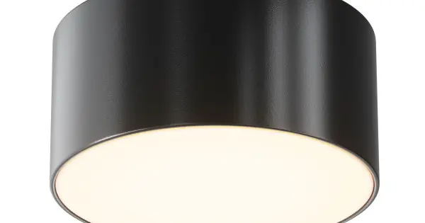 Exkluzív ajánlat Maytoni Zon IP fekete-fehér LED kültéri mennyezeti lámpa (MAY-O430CL-L15B3K) LED 1 izzós IP65