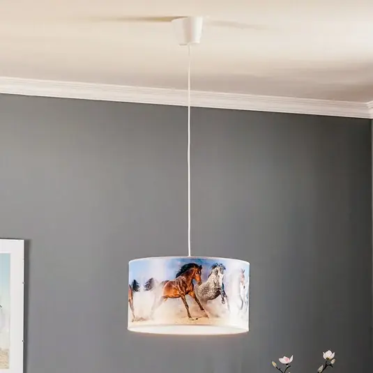 Azonnali szállítás Nyomtatott lógó világítás Horses