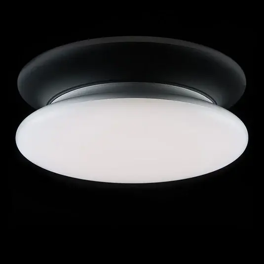 Gyors szállítás SLC LED mennyezeti lámpa dimmelhető IP54 Ø 30 cm 4,000 K