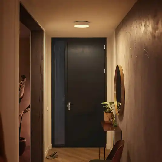 Biztonságos vásárlás Philips Hue Enrave LED mennyezeti lámpa 26.1cm fehér