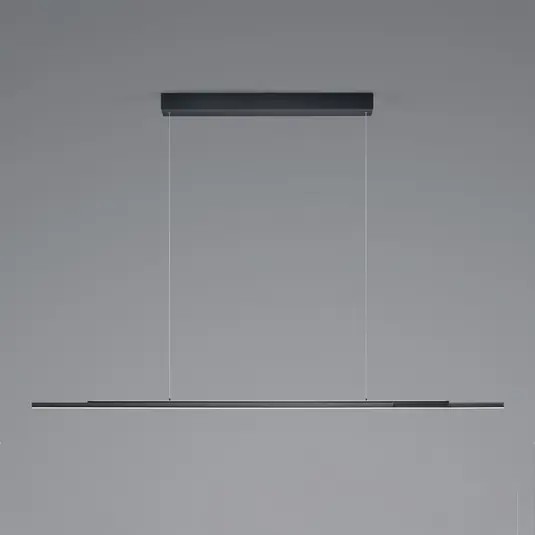 Ajánlat BANKAMP Lightline V2 függő lámpa fel/le antracit