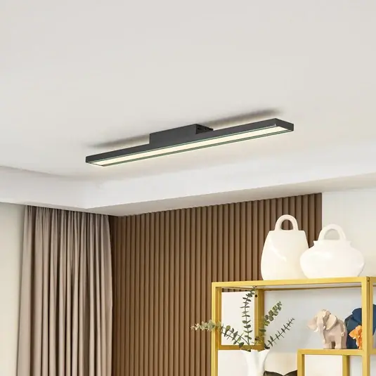 Expressz kézbesítés Lucande Smart LED mennyezeti lámpa Leicy fekete 10 cm RGB CCT